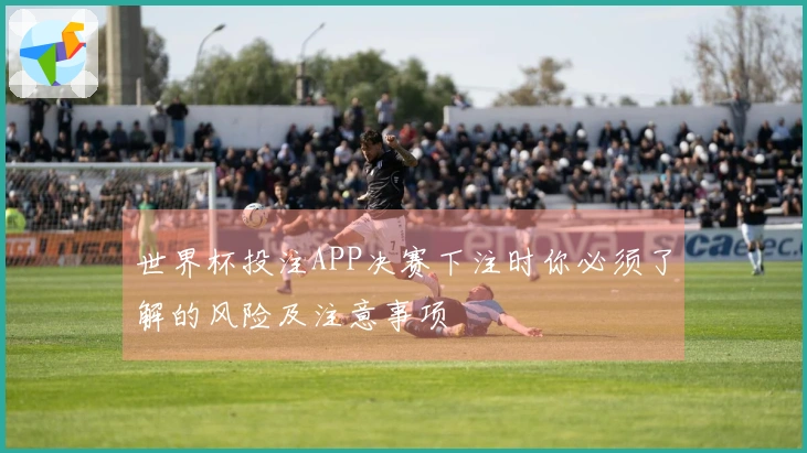 世界杯投注APP决赛下注时你必须了解的风险及注意事项