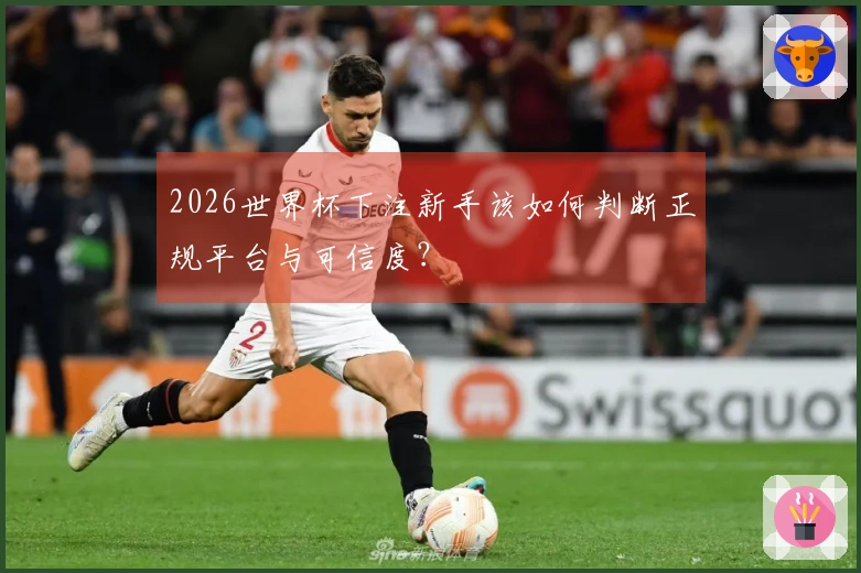 2026世界杯下注新手该如何判断正规平台与可信度？