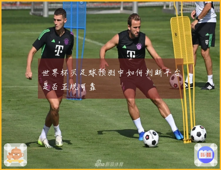 世界杯买足球预测中如何判断平台是否正规可靠