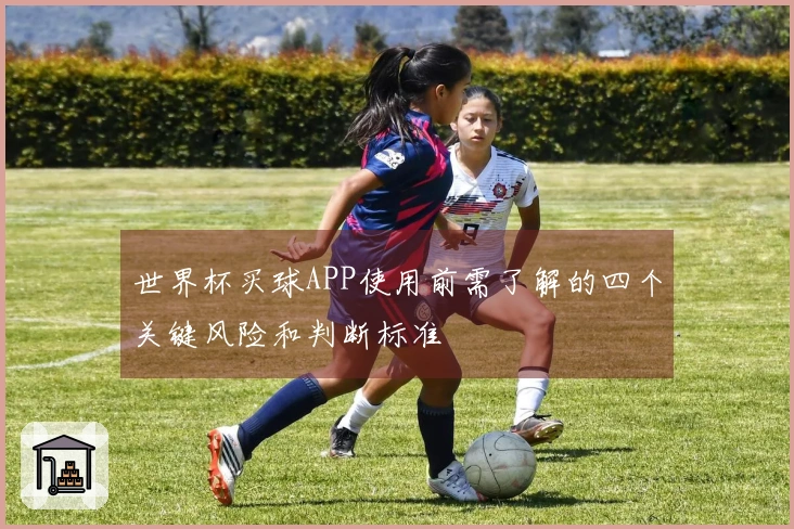 世界杯买球APP使用前需了解的四个关键风险和判断标准