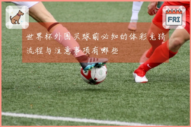 世界杯外围买球前必知的体彩竞猜流程与注意事项有哪些