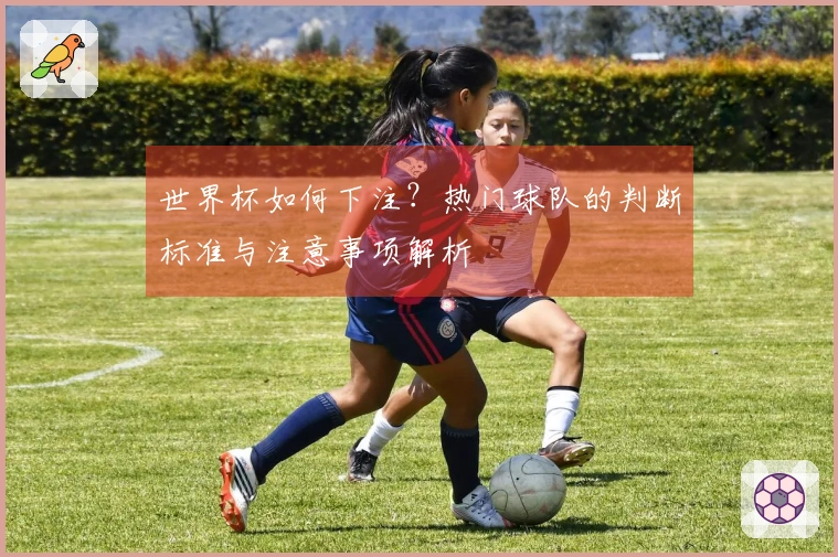世界杯如何下注？热门球队的判断标准与注意事项解析