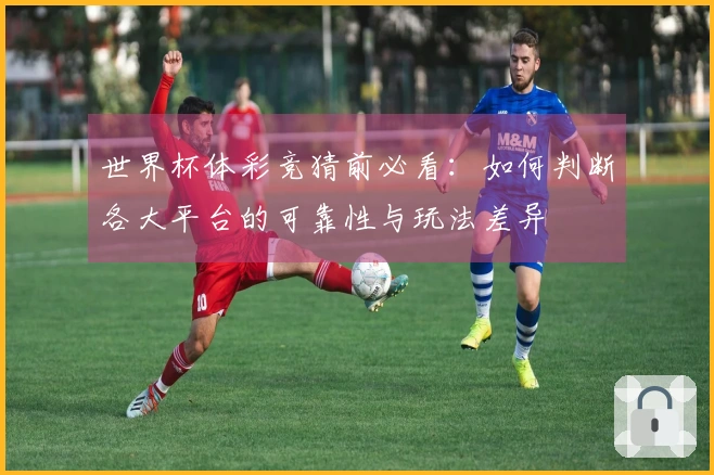 世界杯体彩竞猜前必看：如何判断各大平台的可靠性与玩法差异
