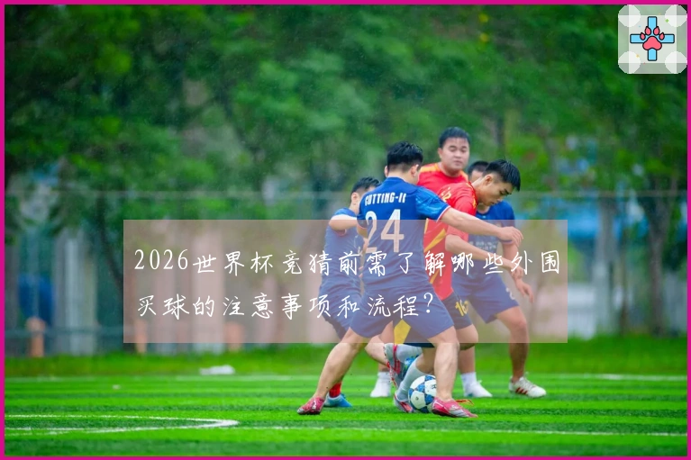 2026世界杯竞猜前需了解哪些外围买球的注意事项和流程？