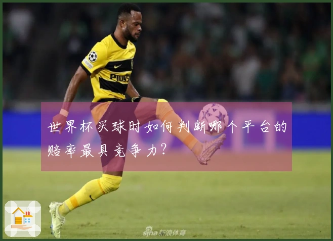 世界杯买球时如何判断哪个平台的赔率最具竞争力？