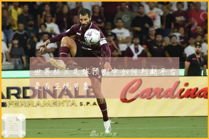 世界杯买足球预测中如何判断平台是否正规可靠