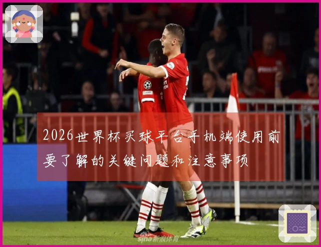 2026世界杯买球平台手机端使用前要了解的关键问题和注意事项