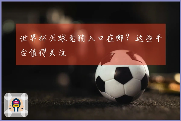 世界杯买球竞猜入口在哪？这些平台值得关注