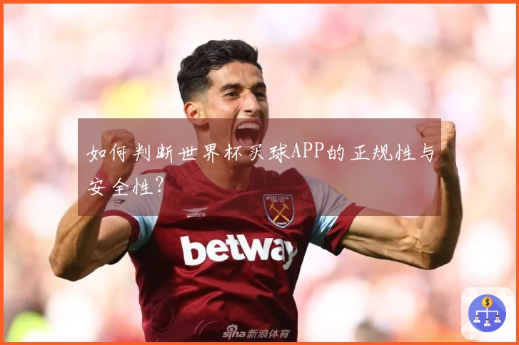 如何判断世界杯买球APP的正规性与安全性？
