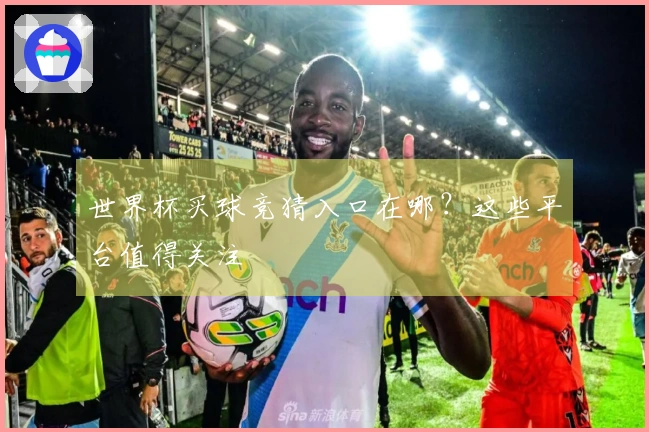 世界杯买球竞猜入口在哪？这些平台值得关注