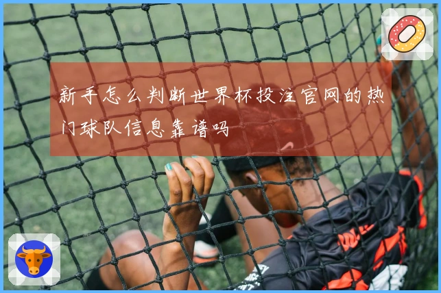 新手怎么判断世界杯投注官网的热门球队信息靠谱吗