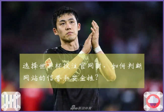 选择世界杯投注官网时，如何判断网站的信誉和安全性？