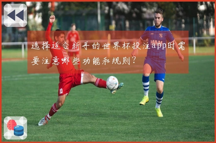 选择适合新手的世界杯投注app时需要注意哪些功能和规则？