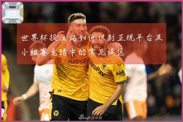 世界杯投注站如何识别正规平台及小组赛竞猜中的常见误区