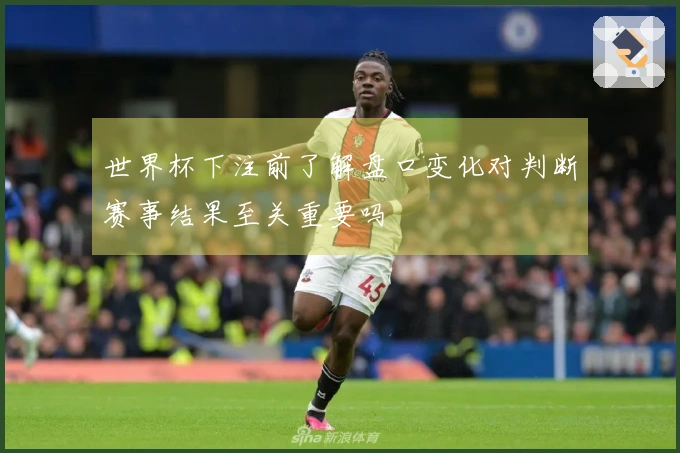 世界杯下注前了解盘口变化对判断赛事结果至关重要吗