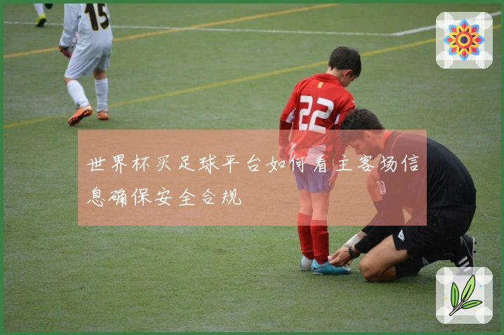 世界杯买足球平台如何看主客场信息确保安全合规