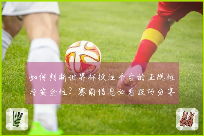 如何判断世界杯投注平台的正规性与安全性？赛前信息必看技巧分享