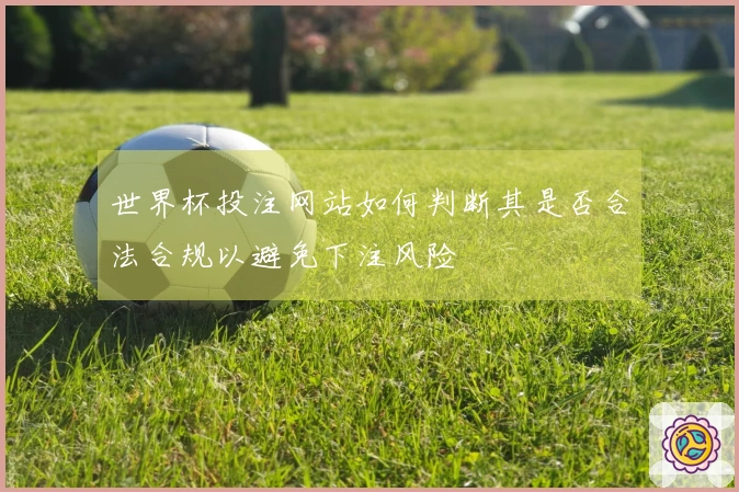世界杯投注网站如何判断其是否合法合规以避免下注风险