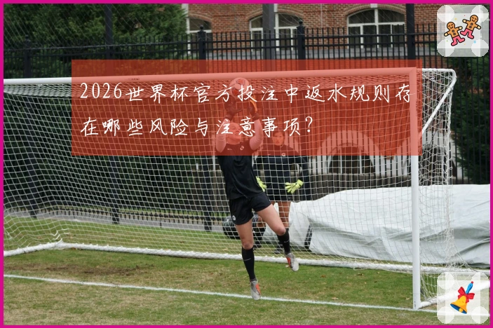 2026世界杯官方投注中返水规则存在哪些风险与注意事项？