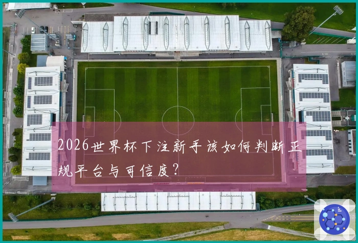 2026世界杯下注新手该如何判断正规平台与可信度？