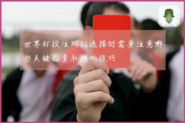 世界杯投注网站选择时需要注意哪些关键因素和避坑技巧