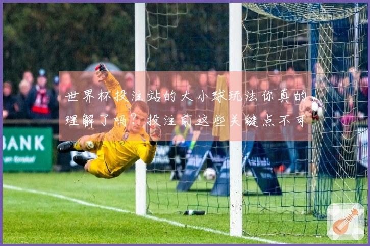 世界杯投注站的大小球玩法你真的理解了吗？投注前这些关键点不可忽视