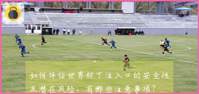 如何评估世界杯下注入口的安全性及潜在风险，有哪些注意事项？